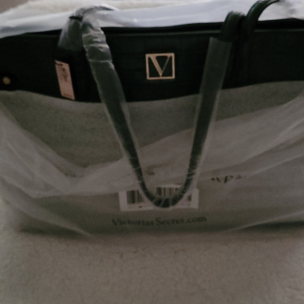 Victoria's Secret bag